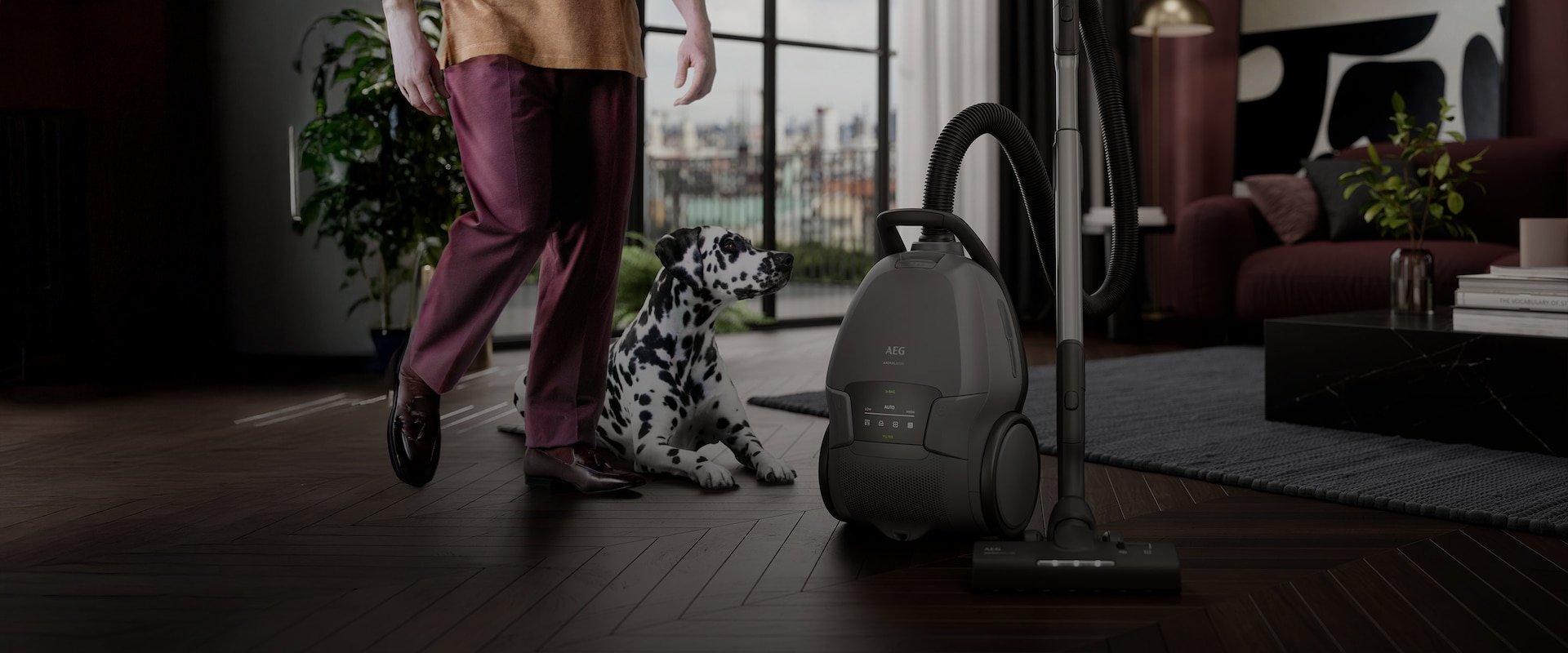 AEG-støvsuger på et parkettgulv i en stue, med en dalmatiner i bakgrunnen.